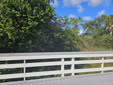 Everglades NP-110124