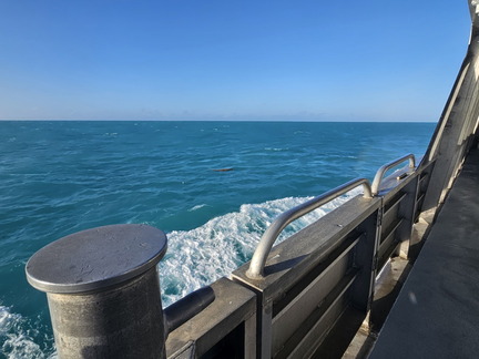 Dry Tortugas NP-110224