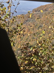 Return to Shenandoah NP-103024