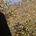 Return to Shenandoah NP-103024