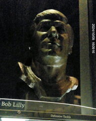 Pro Football Hall of Fame-100924