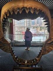 With the Fishes-National Aquarium-062824