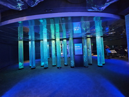 With the Fishes-National Aquarium-062824