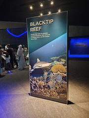 With the Fishes-National Aquarium-062824
