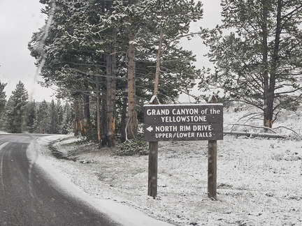 Glacier and Yellowstone NPs-May 2024-Day 6