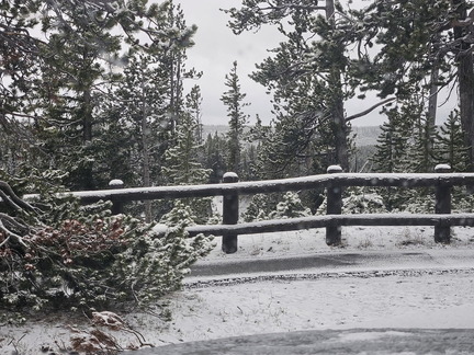 Glacier and Yellowstone NPs-May 2024-Day 6