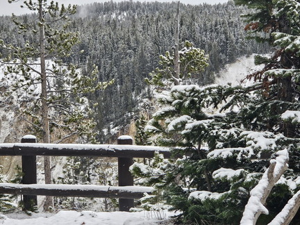 Glacier and Yellowstone NPs-May 2024-Day 6