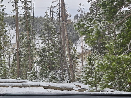 Glacier and Yellowstone NPs-May 2024-Day 6