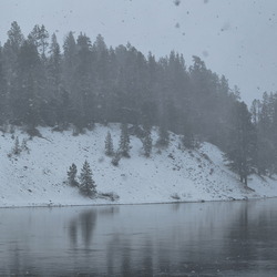 Glacier and Yellowstone NPs-May 2024-Day 6