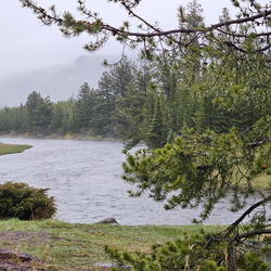 Glacier and Yellowstone NPs-May 2024-Day 5