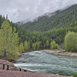 Glacier and Yellowstone NPs-May 2024-Day 4