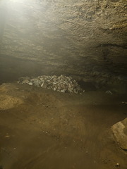 Mammoth Cave NP-051724