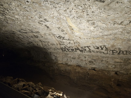 Mammoth Cave NP-051724