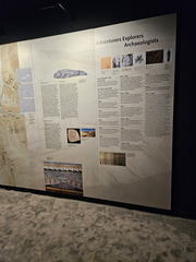 Seein' the DMV-King Tut-ing-050824