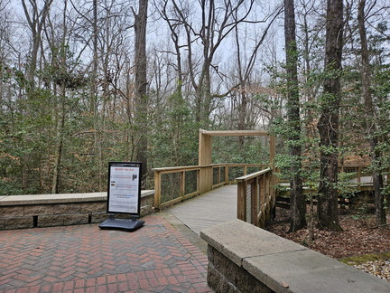 Two National Parks-Congaree NP-022724