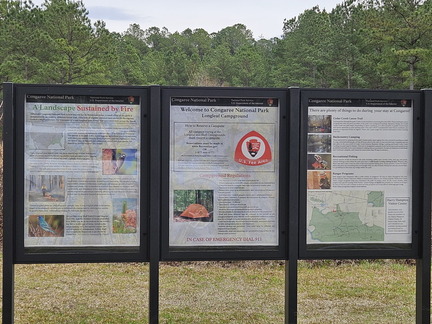 Two National Parks-Congaree NP-022724
