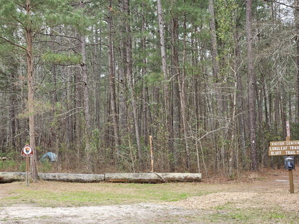 Two National Parks-Congaree NP-022724