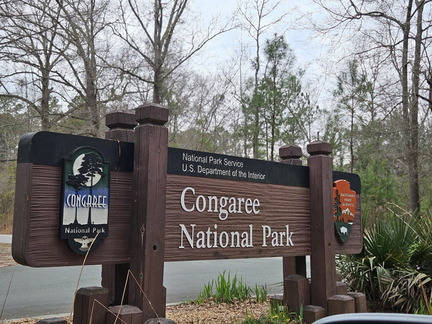Two National Parks-Congaree NP-022724
